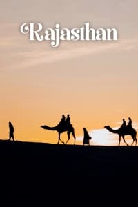 Camel safari silhouetted against a desert sunset in Rajasthan
